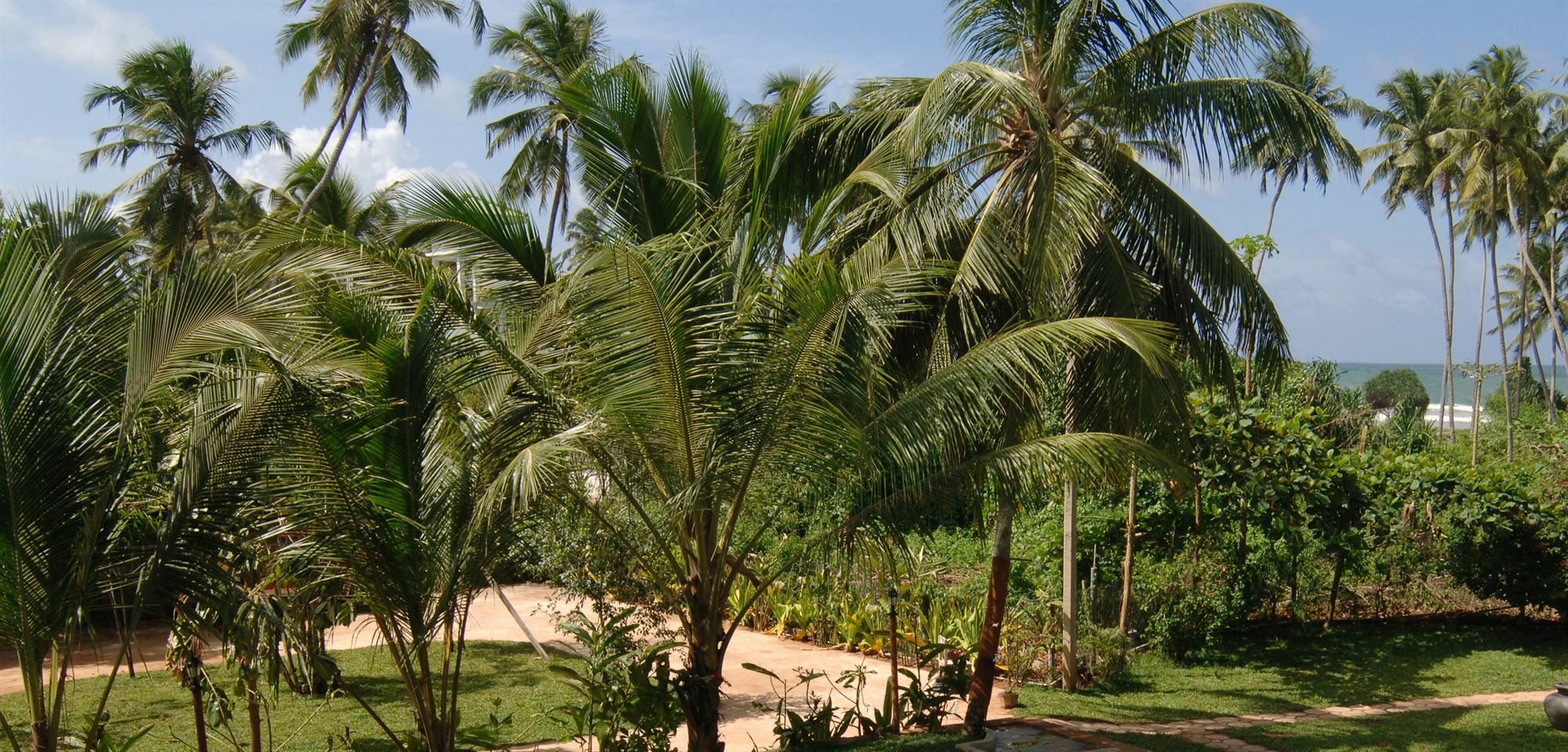 Wunderbar Beach Hotel Bentota Eksteriør bilde